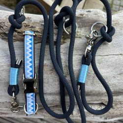 Kleiner Wellenreiter