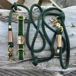Grünes Set Hundehalsband und Leine mit goldener Takelung und goldener Hardware
