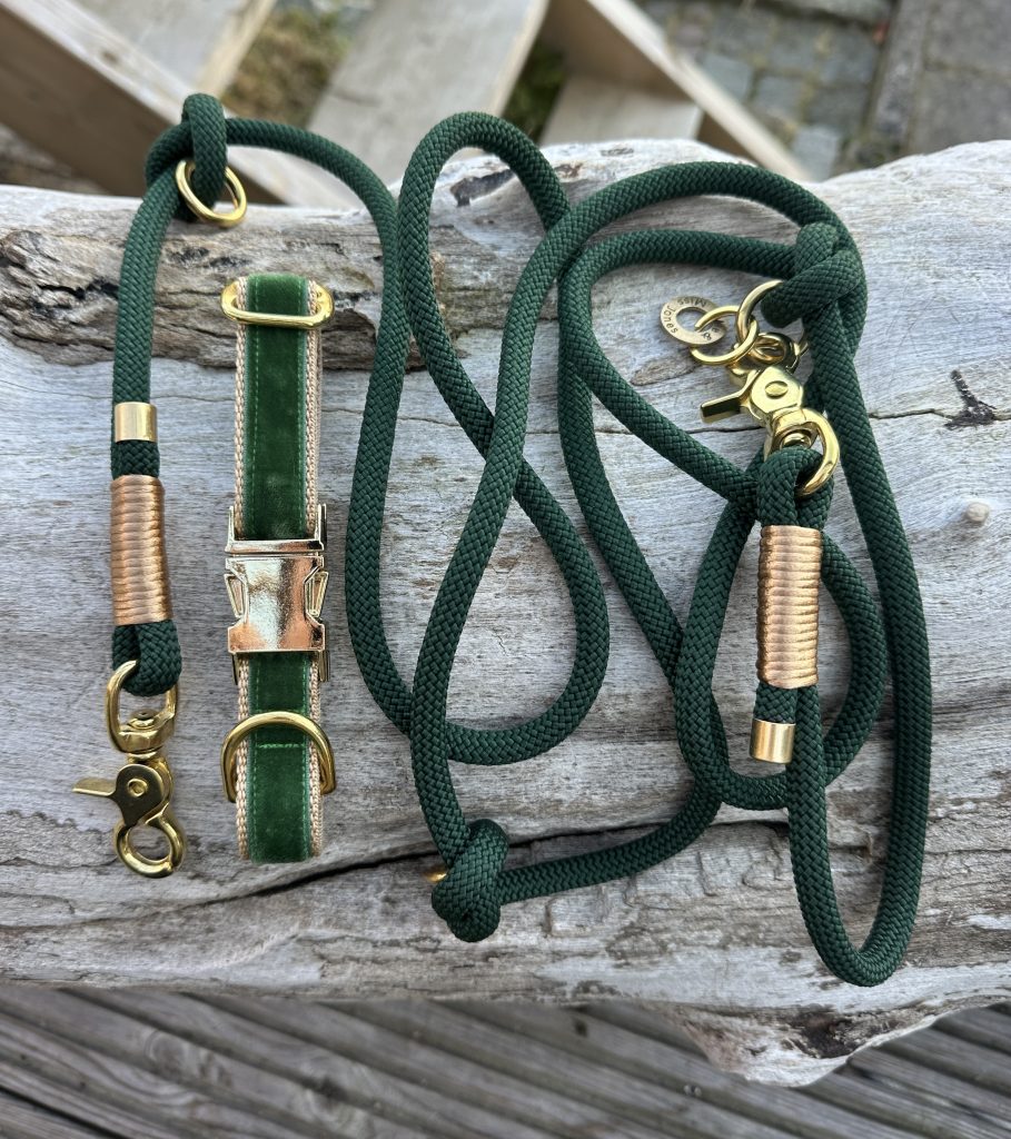 Grünes Set Hundehalsband und Leine mit goldener Takelung und goldener Hardware