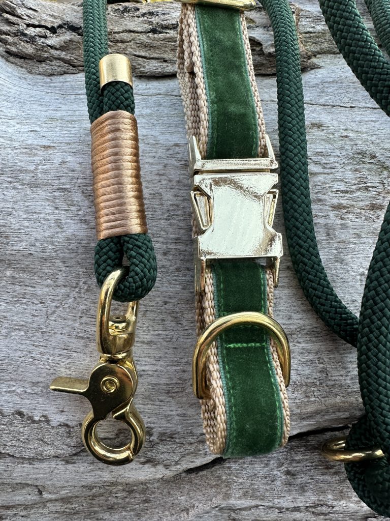 Ausschnitt grünes Halsband mit grüner Leine und goldenener Hardware