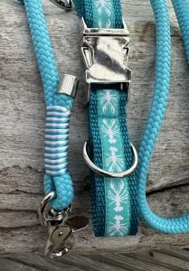 Ausschnitt türkis farbenes Hundehalsband mit weißen Hummern und zweifarbig getakelter Leine in türkis und weiß