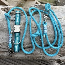 Set Hundehalsband und Leine in Türkis und weißen Hummern