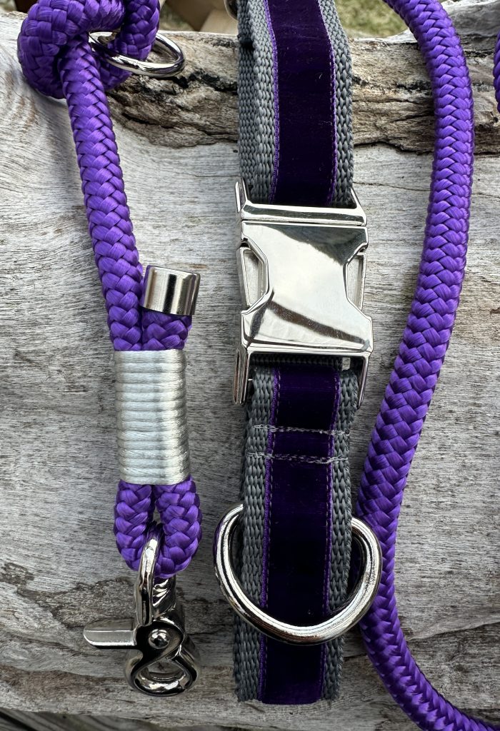 Hundehalsband Lila Samt auf grauem Gurtband