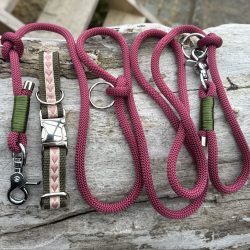 Set Hundehalsband und Leine in Grün und Rosa mit Herzmotiv