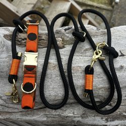 Set Hundehalsband und Leine im Seventies Look in Orange und Schwarz