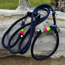 Retrieverleine Regenbogen