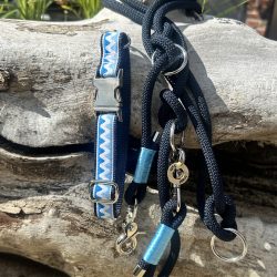 Kleiner Wellenreiter